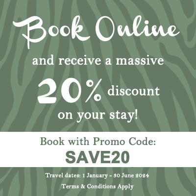 SAVE20 promotion